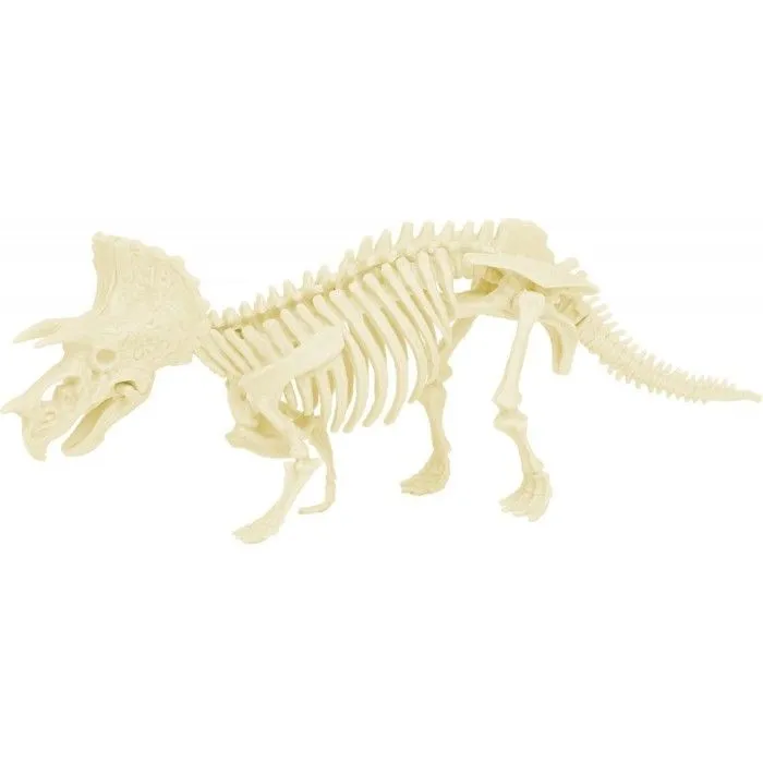 Ulysse - Kit Paleo - Triceratops-2