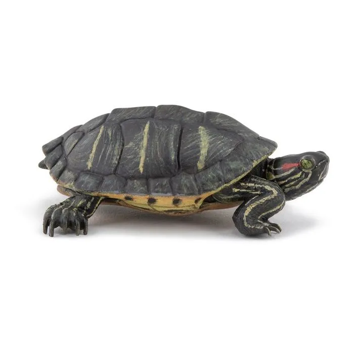 Papo - Figurine Tortue de Floride-0