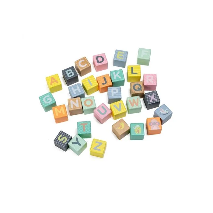EUREKAKIDS - TROTTEUR EN BOIS AVEC BLOCS-5