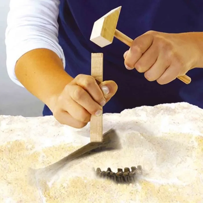 Fouille de dinosaures et de squelettes 2 en 1 - T-rex - SES CREATIVE-4