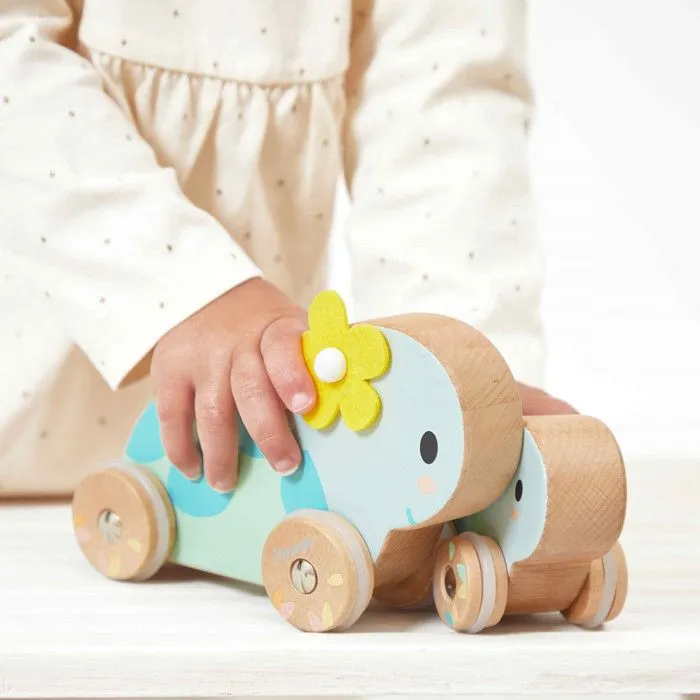 Set de 2 Tortues en Bois - Jouet d'éveil à rouler - jouet éducatif -Dès 1 an-2