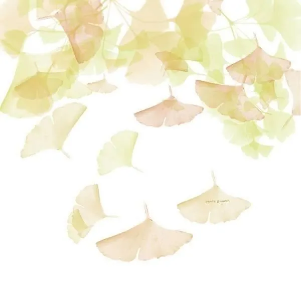 Housse nordique - Devota & Lomba - Rai - Jaune - 220x220 cm - Lavable-3