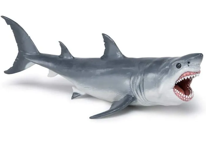Figurine préhistorique : Megalodon-2