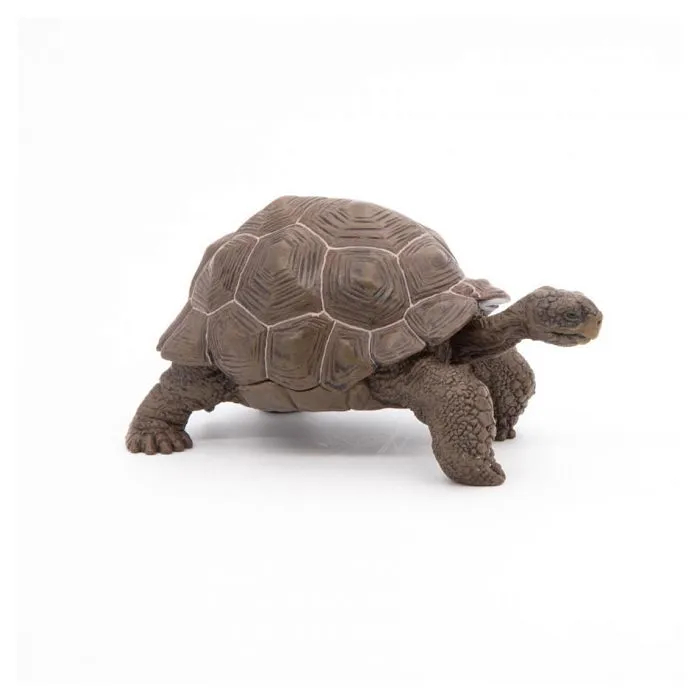 Figurine Tortue des Galapagos - Papo - Collection Vie Sauvage - Jouet pour Enfant de 3 à 10 ans-3
