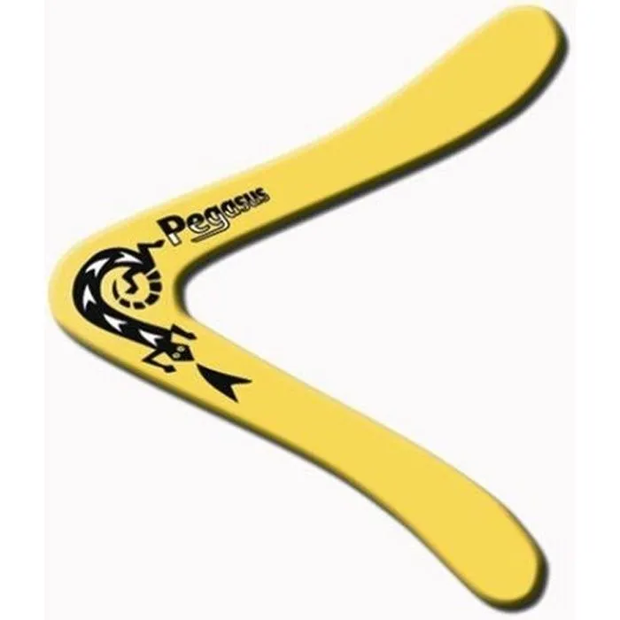Boomerang Pegasus - GUNTHER - Pour enfant à partir de 12 ans - En polypropylène de 4 mm-0