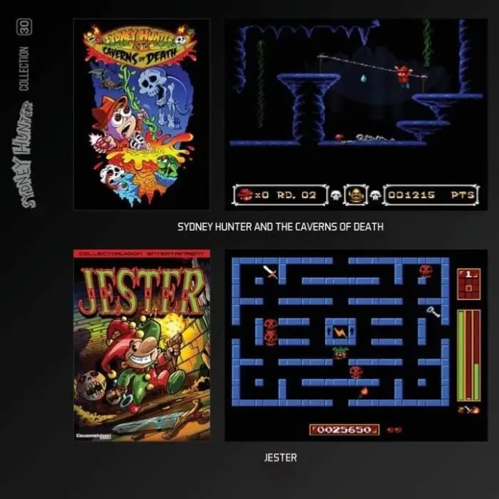Jeu Rétrogaming - Blaze - Sydney Hunter Collection - Cartouche Arcade N° 30 - Action - En boîte-3