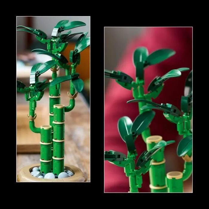 LEGO Botanique 10344 Le bambou de la chance - Plante artificielle et décoration intérieure-3