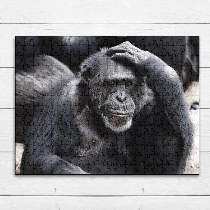 Puzzle Classique - FABULOUS - Chimpanze Singe - 280 Pièces - Adulte - Intérieur-3