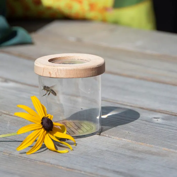 Boîte Observation Insectes - ESSCHERT DESIGN - 7 cm - Extérieur - Enfant - Sciences et jeux-3