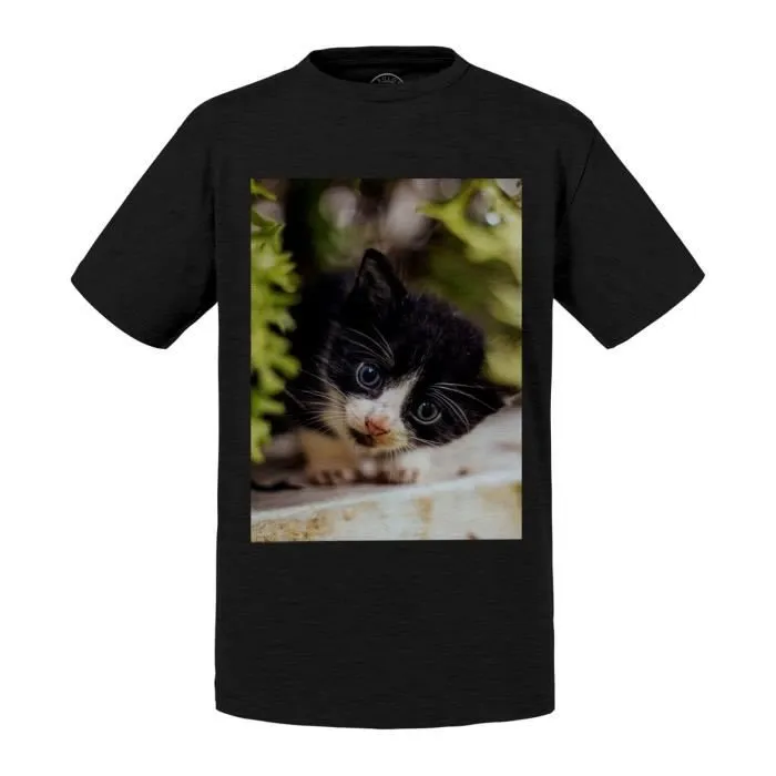 T-shirt Enfant Noir Chaton Noir et Blanc Yeux Bleus En Observation sur un Muret Mignon Animaux-0