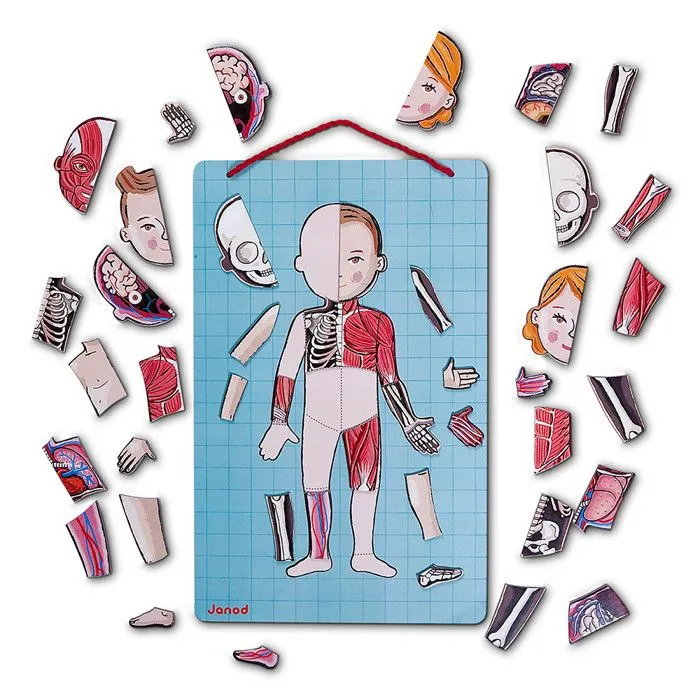JANOD - Body Magnet L'Anatomie - 12 langues - Dès 7 Ans-3