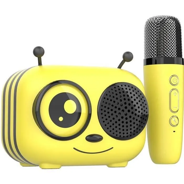 Kit karaoké / Enceinte Bluetooth et micro sans fil - CGV - MAYA, Effets voix magiques, Autonomie 8h, Recharge USB-0