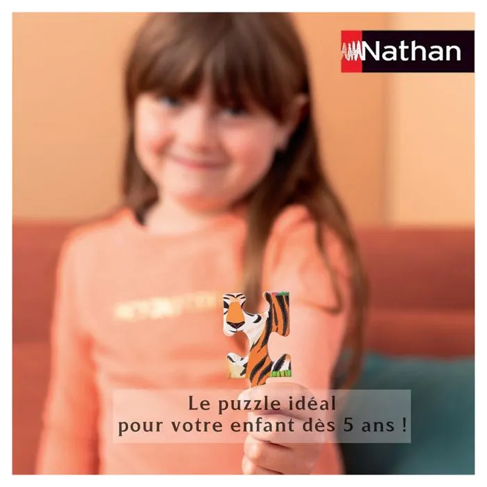 Nathan puzzle 45 p --2