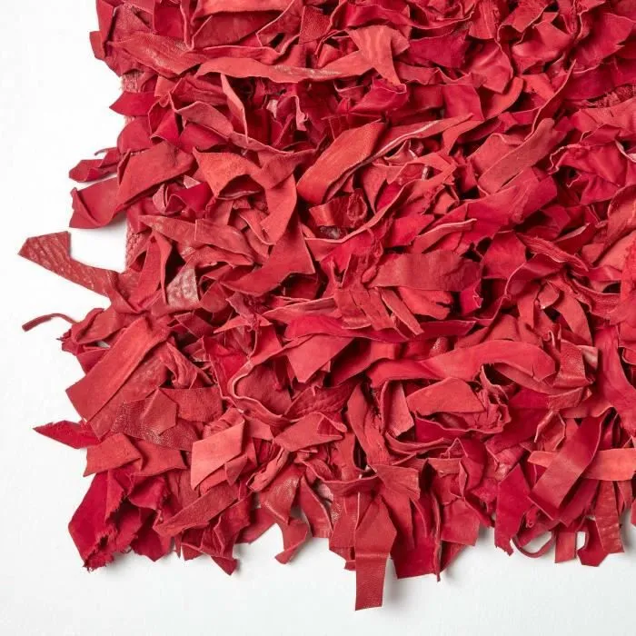 Tapis Shaggy Cuir Dallas Rouge 150 x 240 cm-2