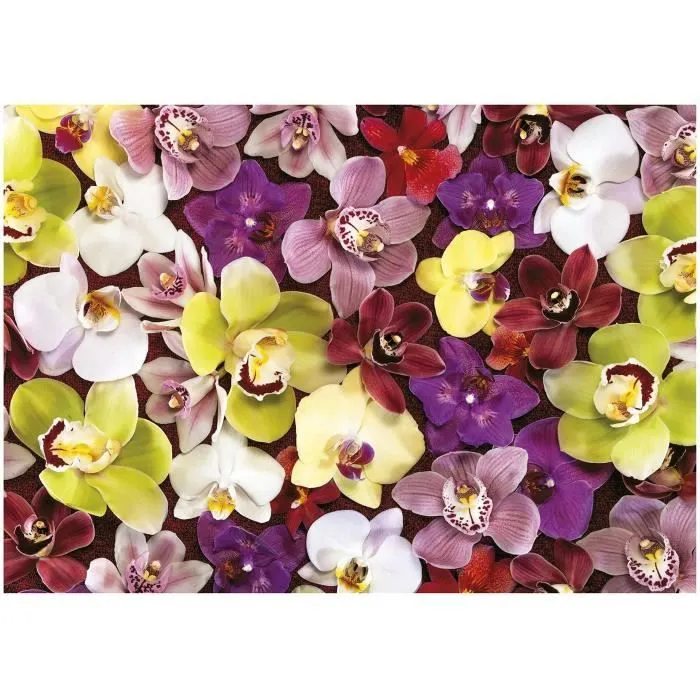 Puzzle 1000 pièces - COLLAGE ORCHIDÉES - EDUCA - Nature morte et objets - Mixte - Espagne-1