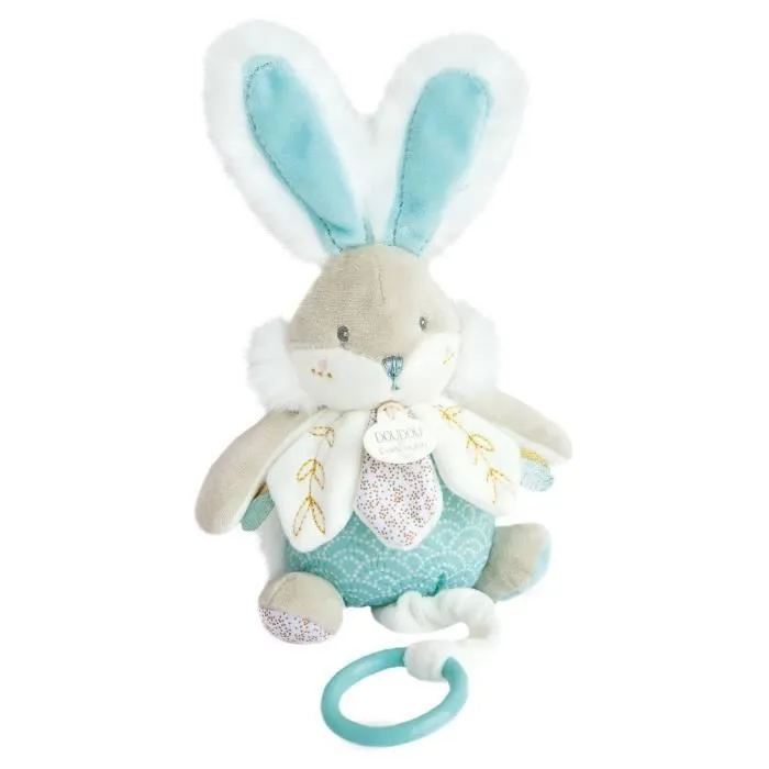 DOUDOU ET COMPAGNIE - Lapin de sucre - Boîte à musique - Vert - A partir de 4 ans - Mixte-1