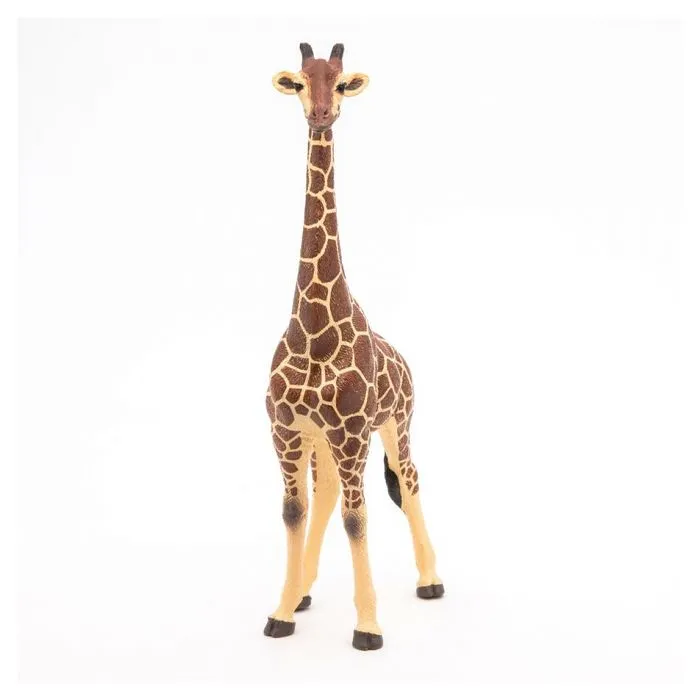 Figurine Girafe mâle - PAPO - LA VIE SAUVAGE - Intérieur - Mixte - 3 ans-3