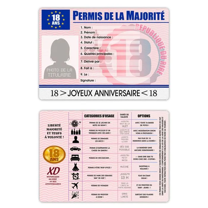 Permis humoristique - Majorité - 18 ans - Fille - Rose - Décoration de fête - Intérieur-1