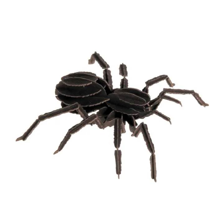 Fridolin - Maquette 3D en papier Tarentule-0