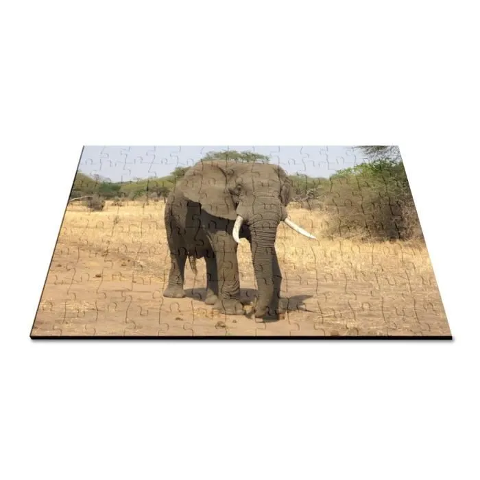 Puzzle Classique - FABULOUS - Elephant d'Afrique Savane - 100 Pièces - Adulte - Mixte-2