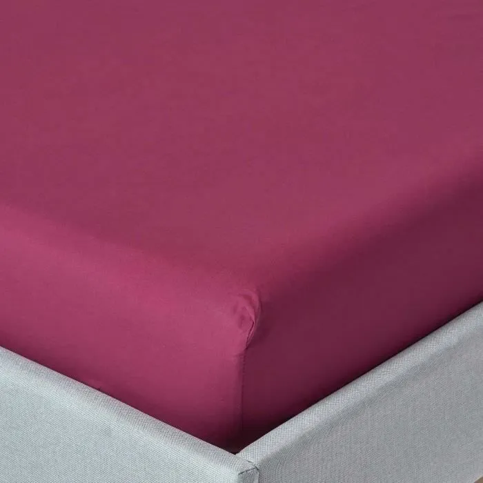 Drap-housse - Coton Égyptien - Prune - 150 x 200 cm - Hypoallergénique - Facile d'entretien-0