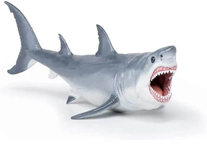 Figurine préhistorique : Megalodon-4