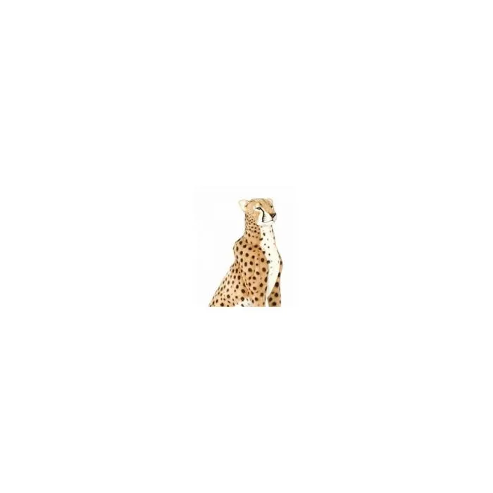 PELUCHE GUEPARD 100CMH / 125 CML-3