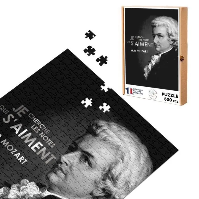 Puzzle Classique - FABULOUS - Je Cherche Les Notes Qui S'aiment Mozart - 500 Pièces - Adulte - Intérieur-0