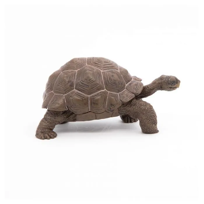 Figurine Tortue des Galapagos - Papo - Collection Vie Sauvage - Jouet pour Enfant de 3 à 10 ans-5