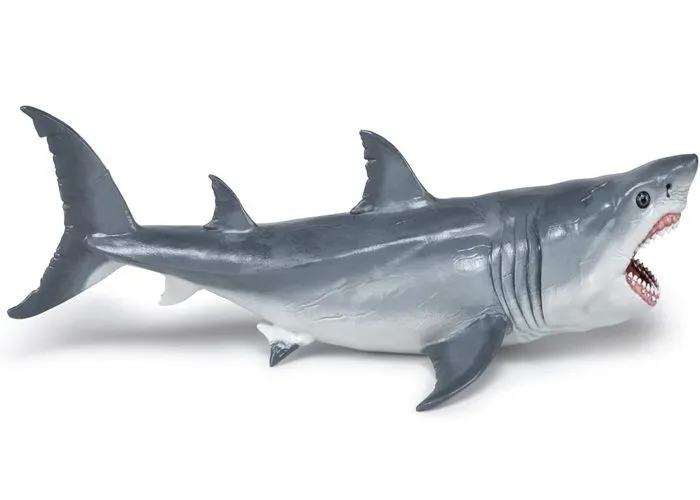 Figurine préhistorique : Megalodon-1
