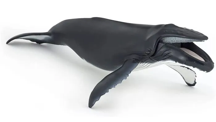 Figurine Baleine à bosse - PAPO - L'UNIVERS MARIN - Pour Enfant - Intérieur-1