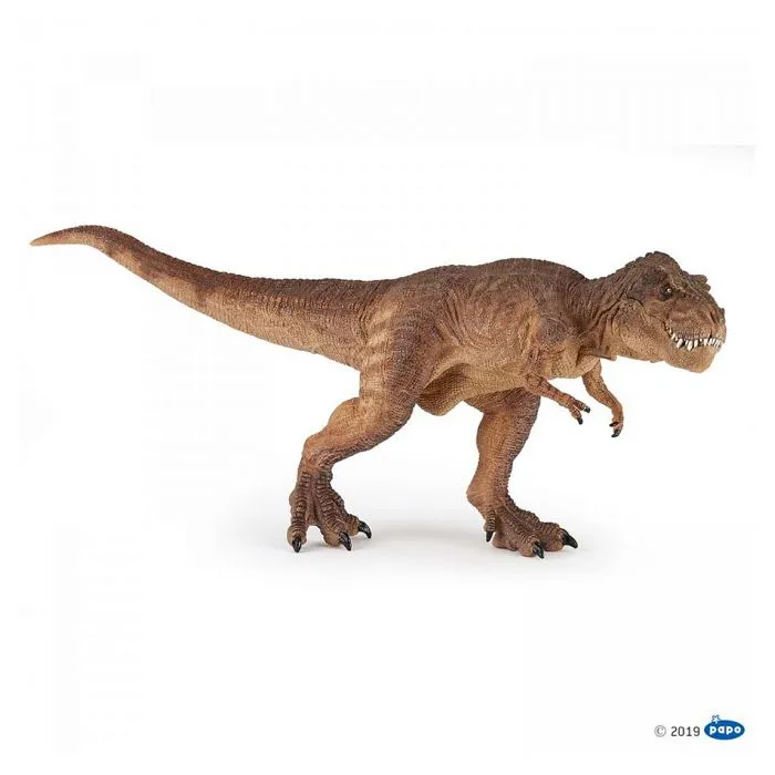 Figurine Dinosaure - PAPO - T-rex courant marron - Beige - Mixte - 3 ans-2
