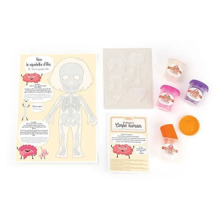 Kit créatif pâte à modeler - Je découvre le corps humain-3