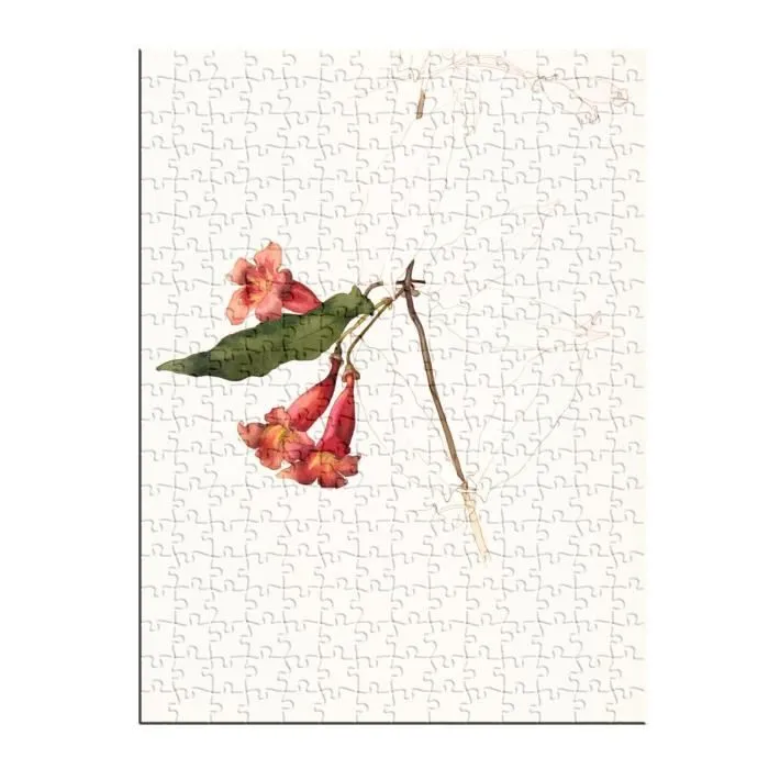 Puzzle Classique - FABULOUS - Fleurs Rouge Aquarelle Dessin - 280 Pièces - Adulte - Intérieur-1
