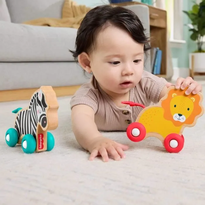 FISHER-PRICE Animaux a pousser en bois os - JFN19-1