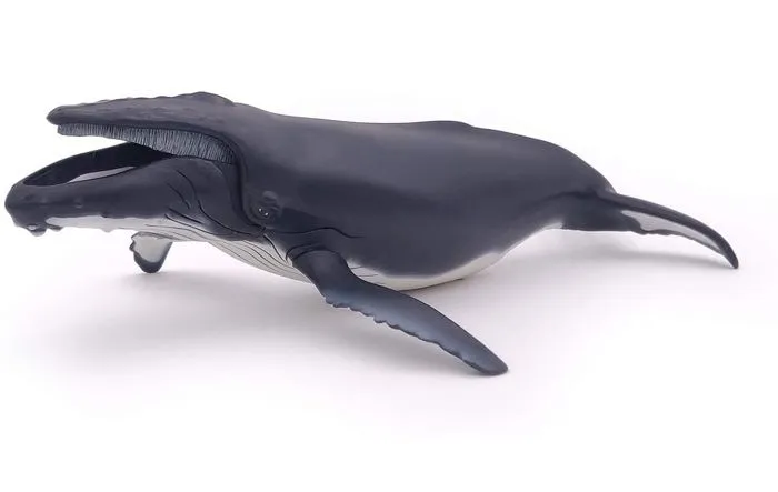 Figurine Baleine à bosse - PAPO - L'UNIVERS MARIN - Pour Enfant - Intérieur-3