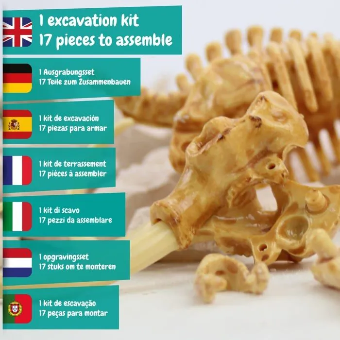 Etude histoire - etude geographie - etude archeologie Science4you - 80002267-1