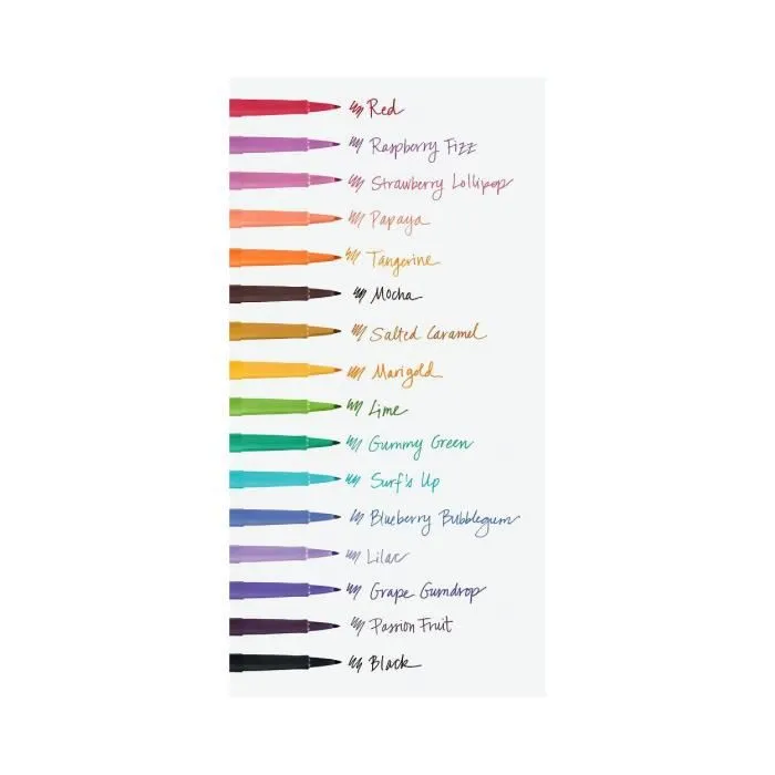 Feutre - Paper Mate - Flair Original - 16 couleurs - Pointe moyenne 0.7mm - Pochette incluse-1