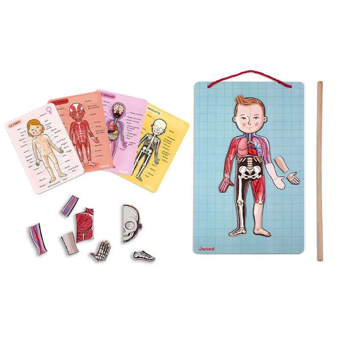 JANOD - Body Magnet L'Anatomie - 12 langues - Dès 7 Ans-1