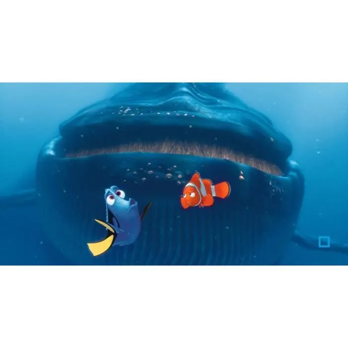 DVD Le monde de Nemo - Disney-6
