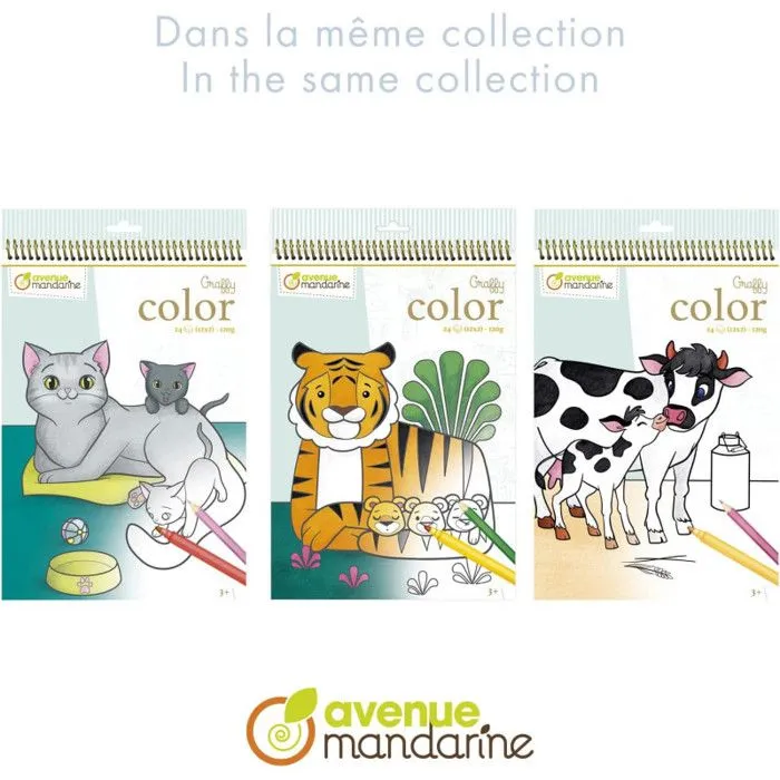 Carnet de coloriage - Graffy Color - Animaux de compagnie - 24 feuilles - A4 - Mixte-3