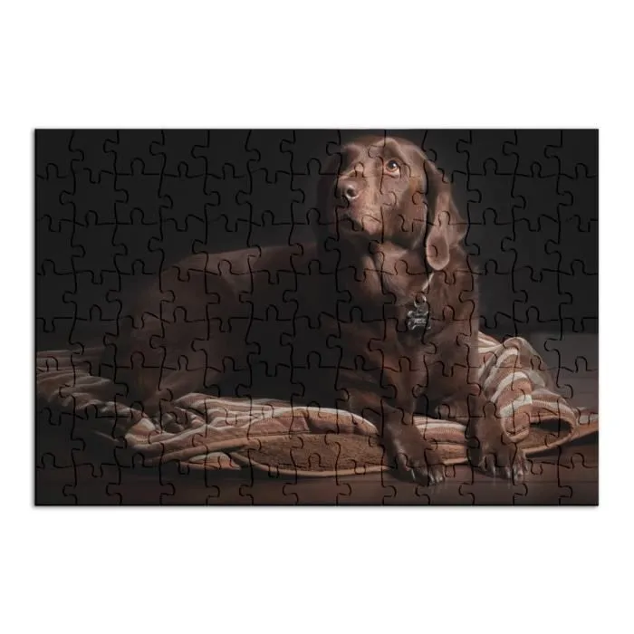 Puzzle Classique - FABULOUS - Labrador sur sa Couche Sépia Chien - 100 Pièces - Intérieur - Adulte-1