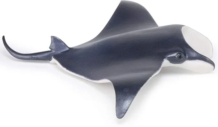Figurine Raie manta - PAPO - L'UNIVERS MARIN - Intérieur - Enfant - Multicolore-3