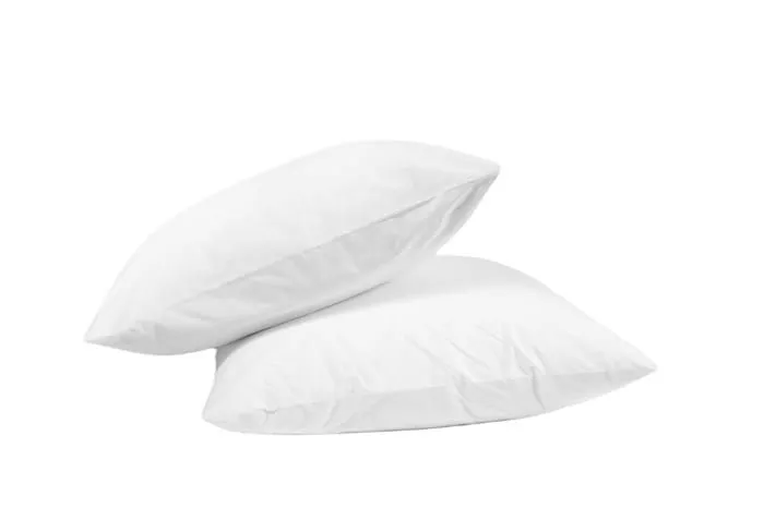 Lot de 2 Oreillers ferme anti insectes - 60 x 60 - 650grs - MORTREUX-0