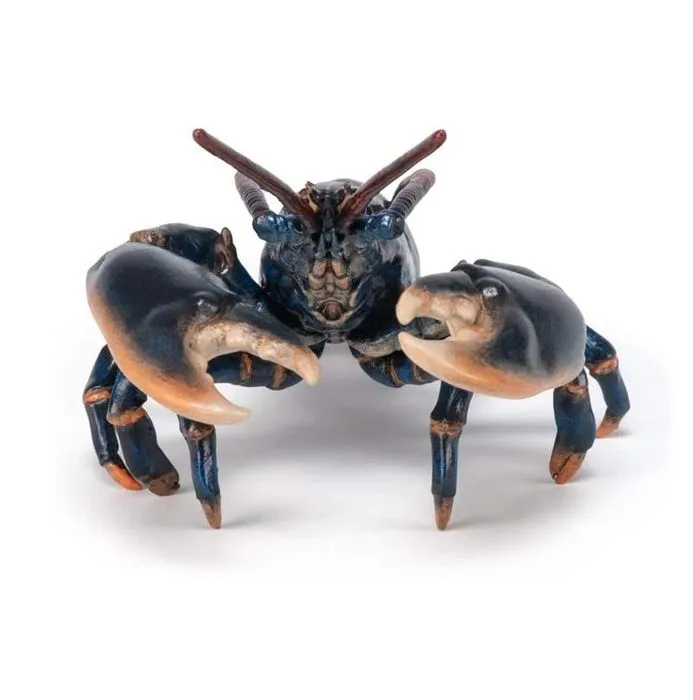 Aliment - Homard - Mixte - Enfant - A partir de 3 ans - Noir-1