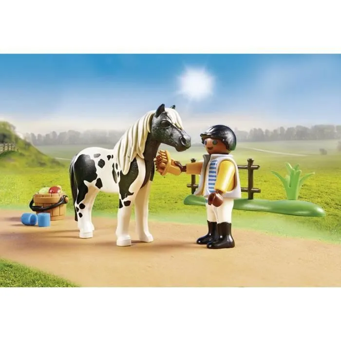 Country Poney Lewitzer à collectionner-4
