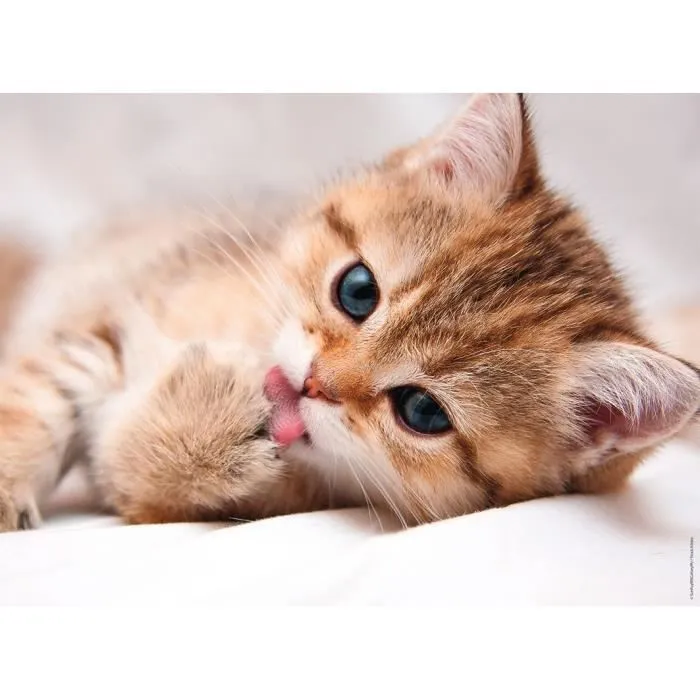 Puzzle 500 pièces - La toilette du chat - Nathan - Animaux - Mixte - Dès 10 ans-1