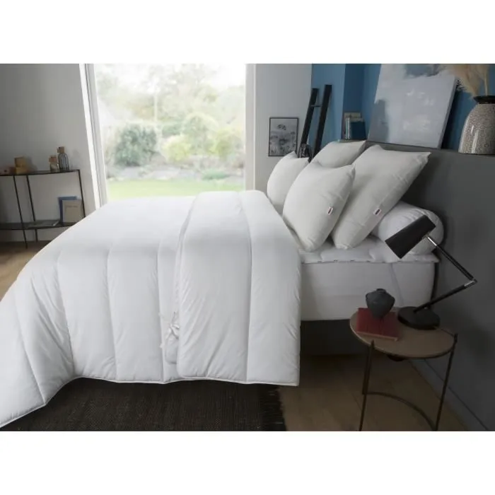 DODO Couette 4 SAISONS 200+300g/m² 200x200cm-1