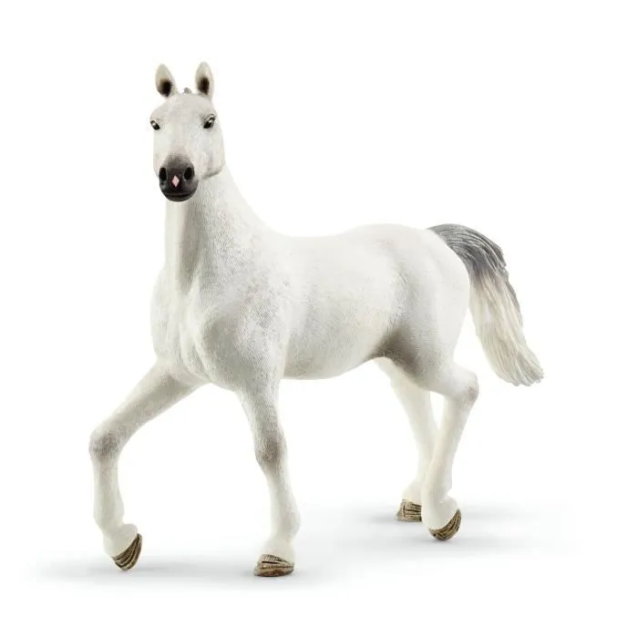 Grand Manège Equestre, Coffret figurine et accessoires, Schleich 42639 Horse Club, Pour enfant dès 5 ans-4