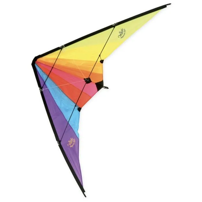Cerf-volant delta avec double poignée - VILAC - Longueur 160 cm - Mixte - A partir de 7 ans-2